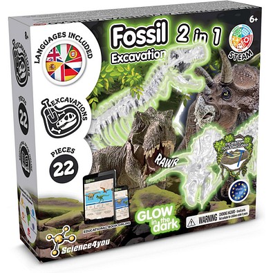 2 in 1 Fossil Excavation Kit I. Lernspiel für Kinder, Gemischt