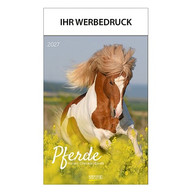 Bild-Wandkalender Pferde 2027