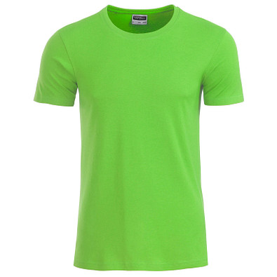 JAMES & NICHOLSON Herren T-Shirt Basic aus Bio-Baumwolle, hellgrün, M