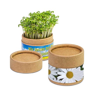 Pflanz-Cup inkl. Samen - Ostern - Margerite, inkl. Druck, individuell