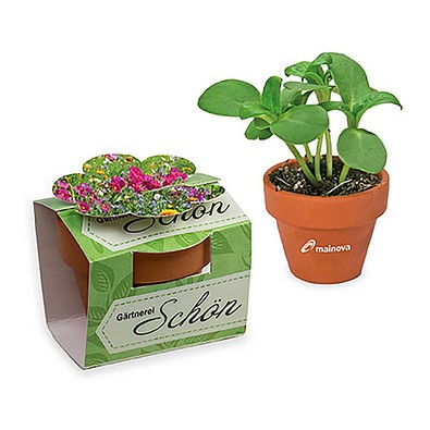 Tontöpfchen-Blume inkl. Samen - Sommerblumenmischung, inkl. Druck, individuell