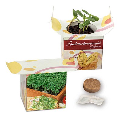 Blumenampel, Gartenkresse, 1-seit. Druck