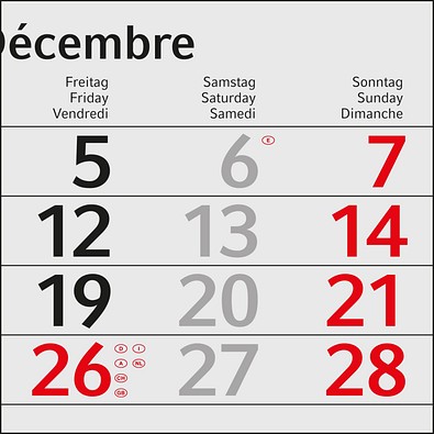 Geiger-Notes Monatskalender Budget 4 green+blue, inkl. Druck, rot