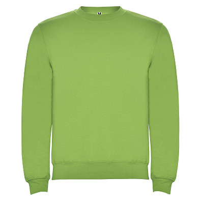 Clasica Sweatshirt mit Rundhalsausschnitt für Kinder, Oasis Green, 11/12