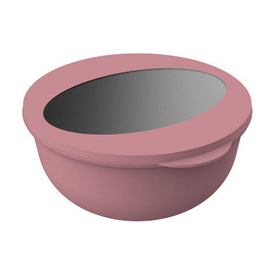 Food-Bowl ToGo, 1,0 l, raffiniertes rot/transparent