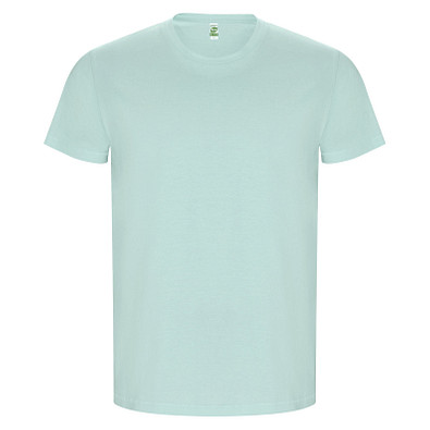 Golden T-Shirt für Herren, mintgrün, 2XL