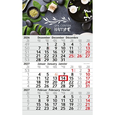 Geiger-Notes Monatskalender Budget 3 Bestseller, inkl. Druck, hellgrau