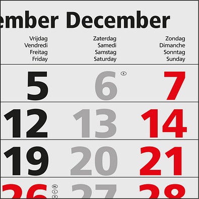 Geiger-Notes Monatskalender Quadro Light 4 Bestseller, Benelux, inkl. Druck, hellgrau