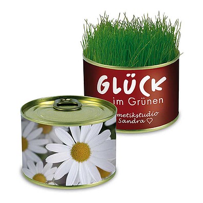 Natur-Konserve mit Samen, Margerite, 1-seit. Druck