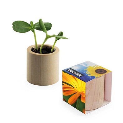 Pflanz-Holz rund mit Samen, Ringelblume, 1-seit. Druck