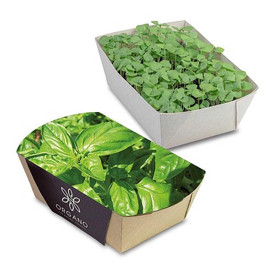 Pflanz-Schale mit Samen, Basilikum, 1-seit. Druck