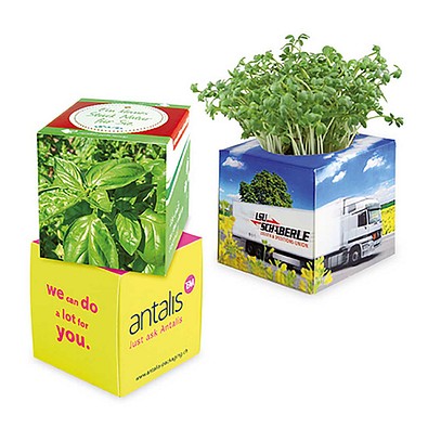 Pflanz-Würfel 2.0 mit Samen, Basilikum, 1-seit. Druck