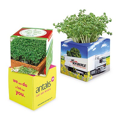Pflanz-Würfel 2.0 mit Samen, Gartenkresse, 1-seit. Druck