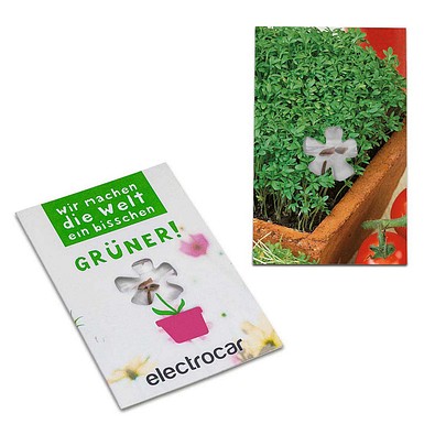 Samen-Karte-Mini Blume, Ostern, Gartenkresse, 2-seit. Druck