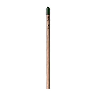 Sprout | Pencil Salbei In Deutsch Geschrieben, Salbei In Deutsch Geschrieben