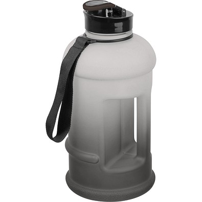 Trinkflasche Gainesville,schwarz
