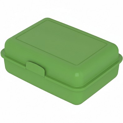 Vorratsdose School-Box groß, mit Trennschale, standard-grün