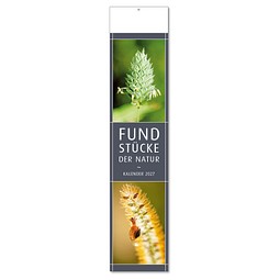 Bildstreifenkalender Fundstücke der Natur, 2027