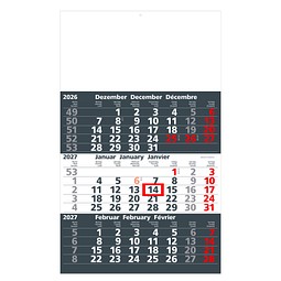 Werbe-Set: 150 Wandkalender 2027, inkl. Druck, dunkelgrau