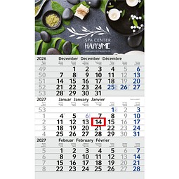 Geiger-Notes Monatskalender Budget 3 Bestseller, inkl. Druck, blau