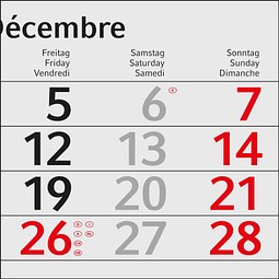 Geiger-Notes Monatskalender Budget 3 green+blue, inkl. Druck, rot