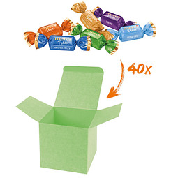 Color Merci Medi-Box - Hellgrün