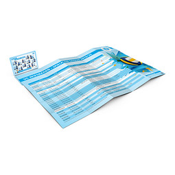 Geiger-Notes Concept-Card Faltplan Large 50 Digital, inkl. Druck, gloss