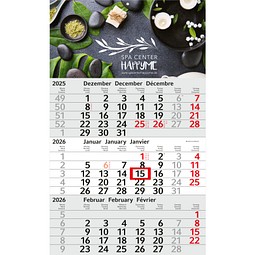 Geiger-Notes Monatskalender Budget 3 Bestseller, inkl. Druck, hellgrau