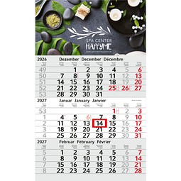 Geiger-Notes Monatskalender Budget 3 Bestseller, inkl. Druck, hellgrau