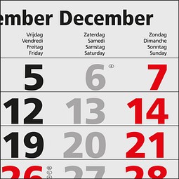 Geiger-Notes Monatskalender Quadro Light 4 Bestseller, Benelux, inkl. Druck, hellgrau