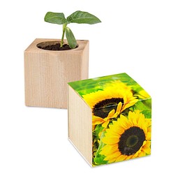 Pflanz-Holz, Standardmotiv, Sonnenblume, 2 Seiten gelasert, Gravur