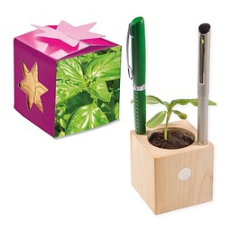 Pflanz-Holz Büro Star-Box mit Samen, Basilikum, 1-seit. Druck