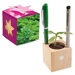 Pflanz-Holz Büro Star-Box mit Samen, Petersilie, 1-seit. Druck