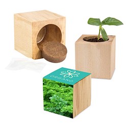 Pflanz-Holz Maxi mit Samen, Petersilie, 1-seit. Druck