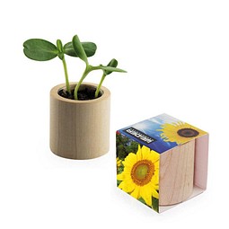 Pflanz-Holz rund mit Samen, Sonnenblume, 1-seit. Druck