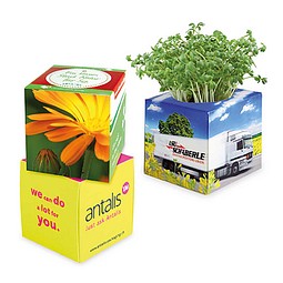 Pflanz-Würfel 2.0 mit Samen, Ringelblume, 1-seit. Druck
