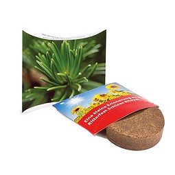 Plant-Tab mit Samen, Fichte, 1-seit. Druck