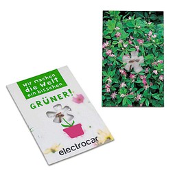 Samen-Karte-Mini Blume, Ostern, Persicher Klee, 2-seit. Druck