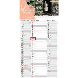 Geiger-Notes Wandplaner Spectrum 3 Bestseller, inkl. Druck, hellgrau