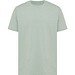 Iceberg green