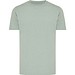 Iceberg green