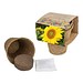 Anzucht-Set mit Samen, Sonnenblume, 1-seit. Druck