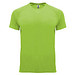 Lime / Green Lime