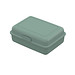 Bio-Vorratsdose Pausen-Box, minze