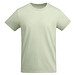 Mist Green