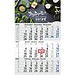 Geiger-Notes Monatskalender Budget 3 Bestseller, inkl. Druck, blau
