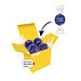 Color Lindor Box - Gelb - Feinherb