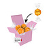 Color Lindor Box - Rosa - Karamell