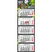 Geiger-Notes Monatskalender Penta Light 5 Bestseller, inkl. Druck, hellgrau