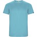 türkis